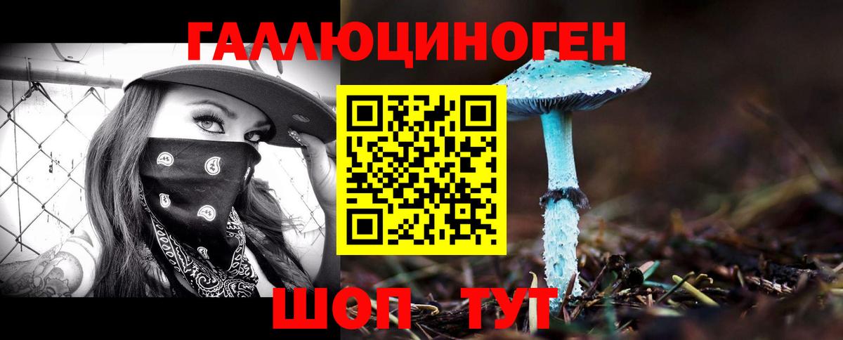 Галлюциногенные грибы MAGIC MUSHROOMS Химки